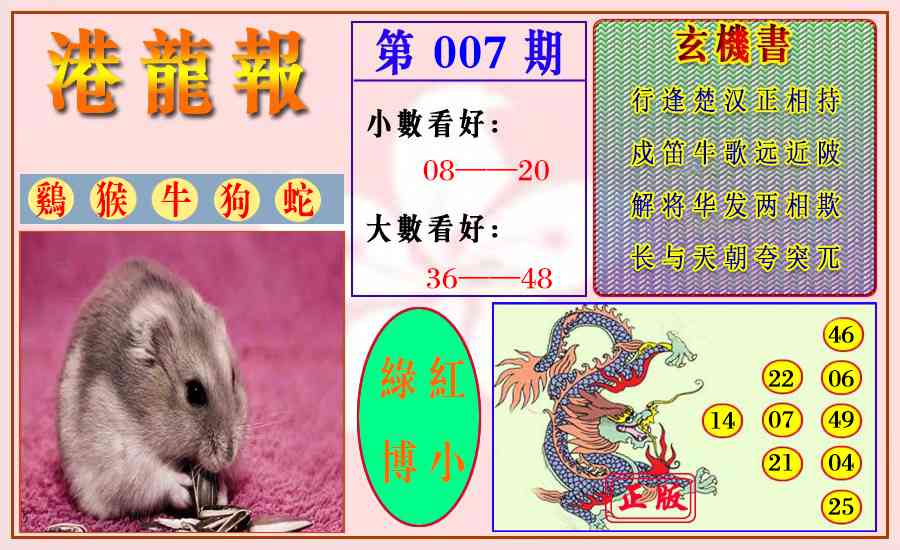 007期港龙报[图]