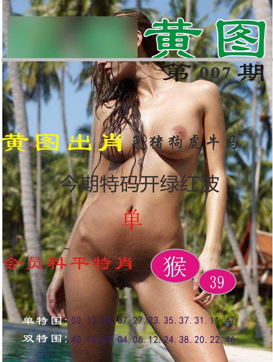 007期黄图[图]