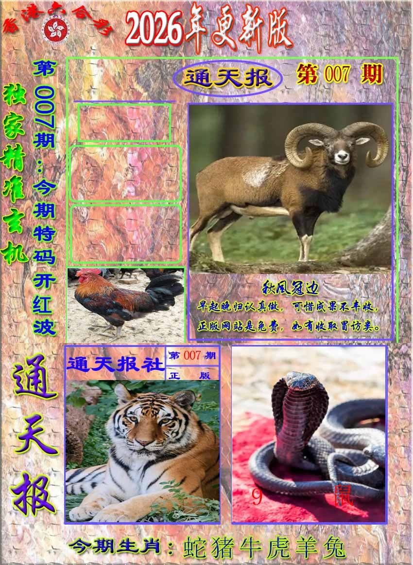 007期新通报[图]