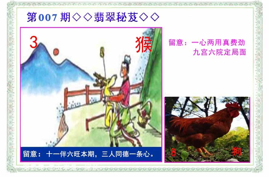 007期翡翠报[图]