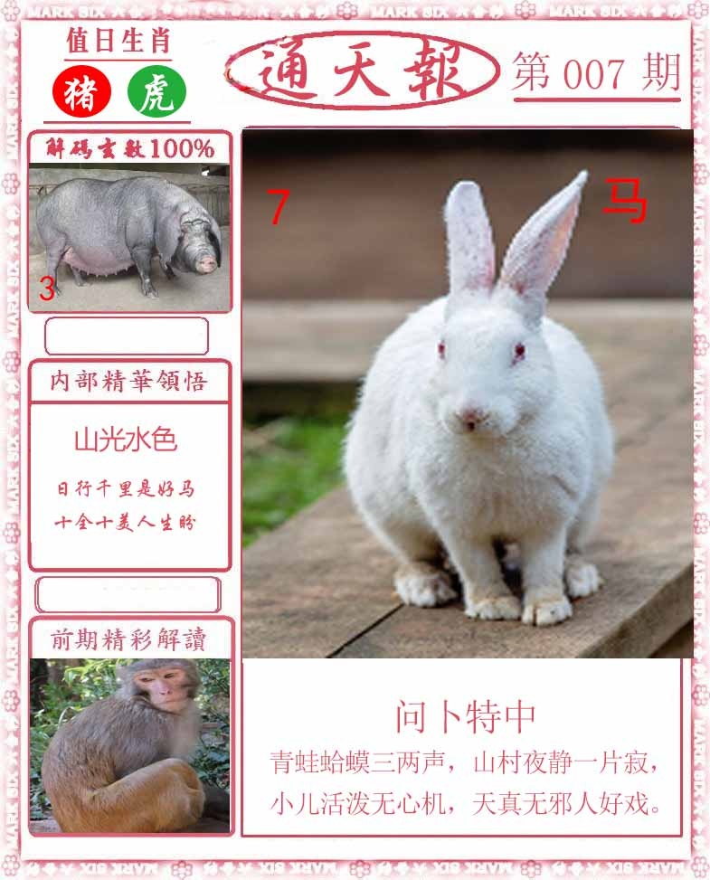 007期正版通天报[图]