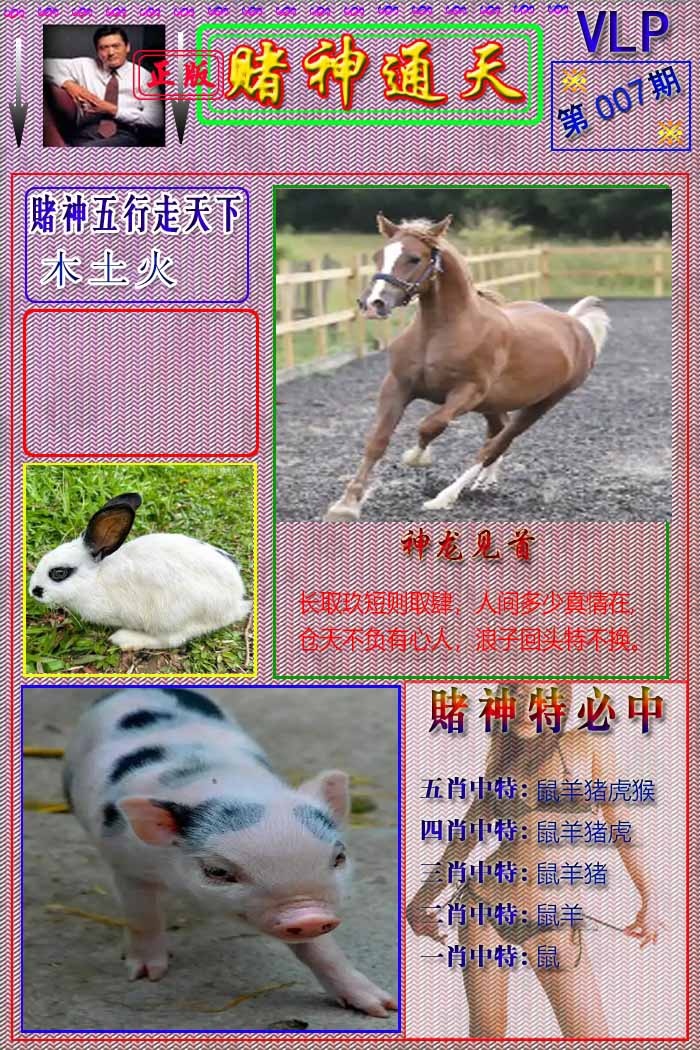 007期赌神通天报[图]