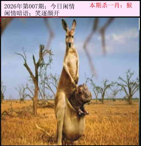 007期今日闲情[图]