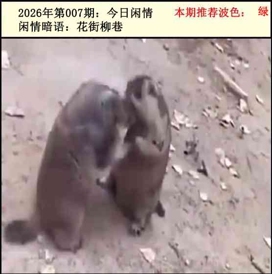 007期今日闲情2[图]