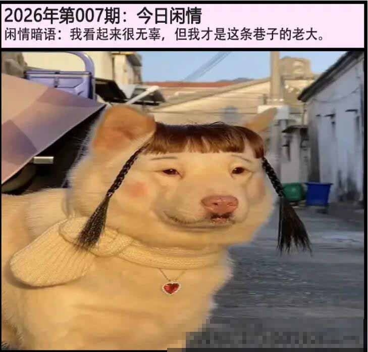 007期另版今日闲情[图]