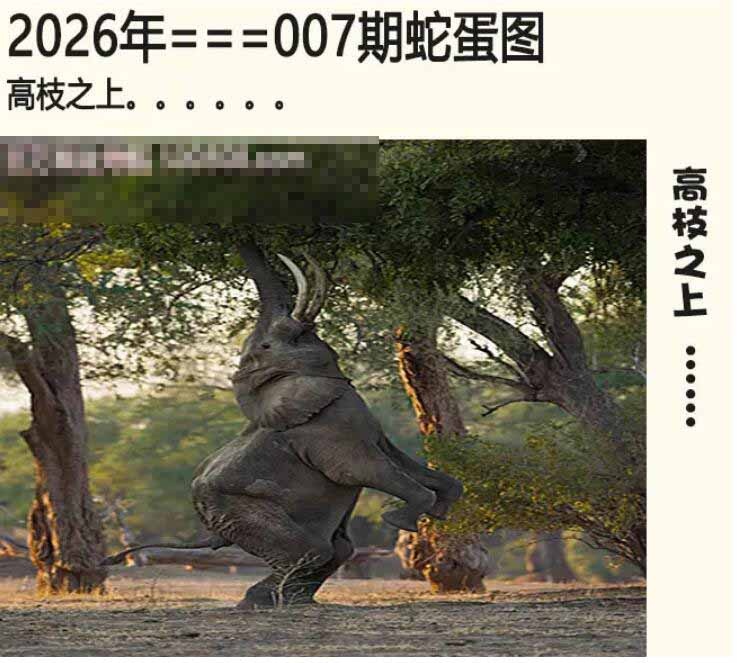 007期另版蛇蛋图[图]